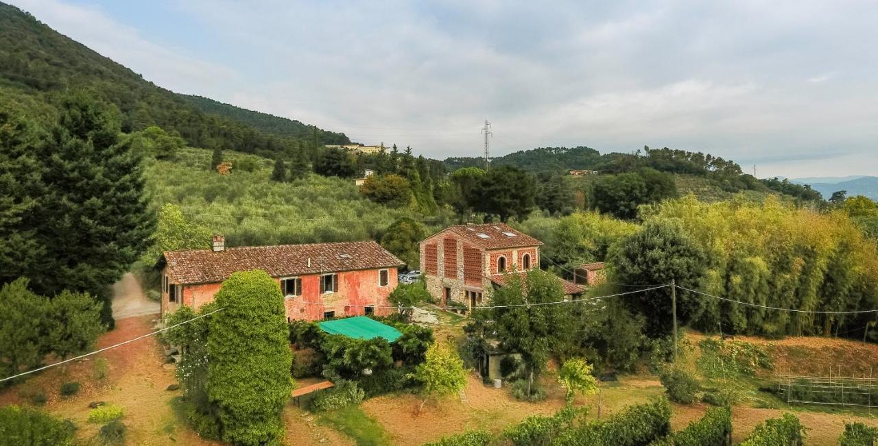 Casa Gaia Guest House Lucca Exterior foto