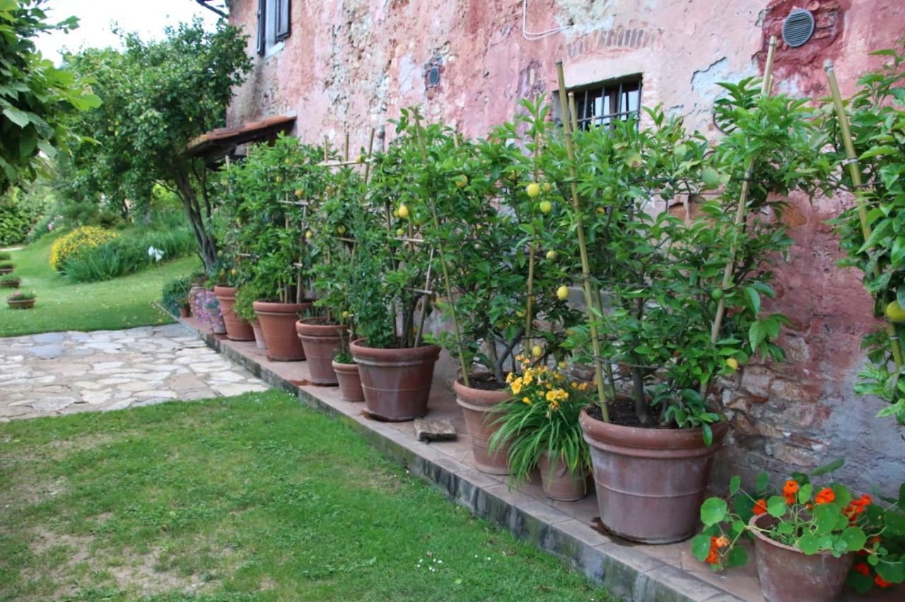 Casa Gaia Guest House Lucca Exterior foto